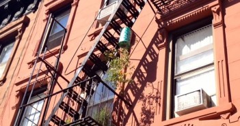 Hanging Tomatoes