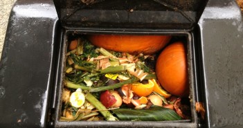 Compost Bin