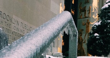 Ice by Brooklyn Public Library on FB