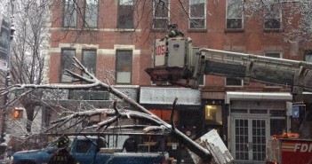 Tree Down on 5th Ave by janice morris on Twitter