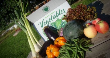 CSA by Bare Foot Organics