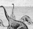 (crop) Dinosaurs via wikimedia