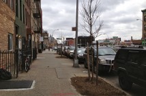 New Street Trees on 4th Avenue