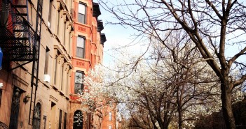 Park Slope Streets: Union Street near 5th Avenue in Spring