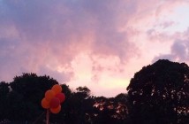 (crop) Sunset in Prospect Park in Summer by shanaluther on Instagram